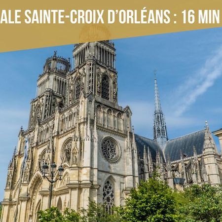 Le St Paterne, Hyper Centre, 3 Chambres Tt Confort Орлеан Екстер'єр фото