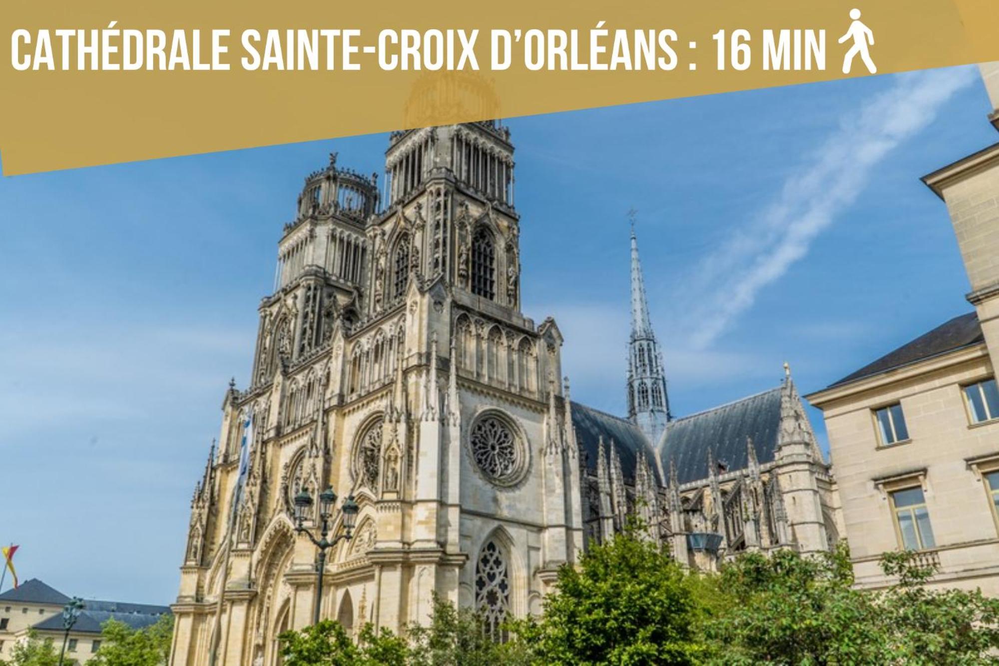 Le St Paterne, Hyper Centre, 3 Chambres Tt Confort Орлеан Екстер'єр фото